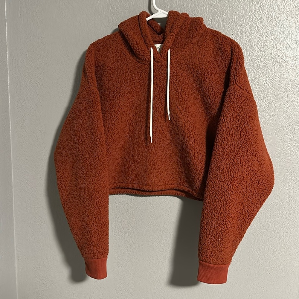 Hollister Gilly Hicks Cozy Cropped Fleece Sherpa Bear Hoodie Size S Burnt Orange